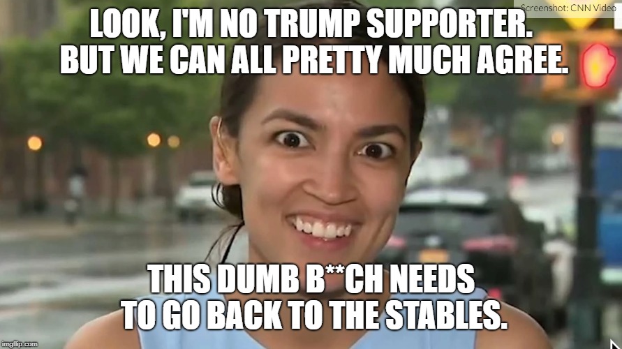 Alexandria Ocasio-Cortez | LOOK, I'M NO TRUMP SUPPORTER. BUT WE CAN ALL PRETTY MUCH AGREE. THIS DUMB B**CH NEEDS TO GO BACK TO THE STABLES. | image tagged in alexandria ocasio-cortez | made w/ Imgflip meme maker