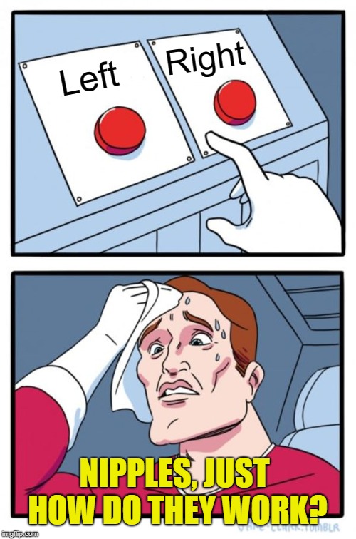 Two Buttons | Right; Left; NIPPLES, JUST HOW DO THEY WORK? | image tagged in memes,two buttons | made w/ Imgflip meme maker