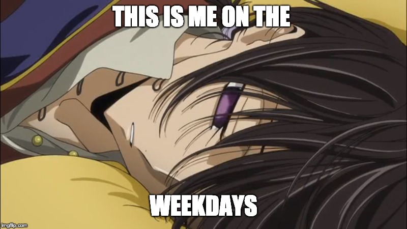 THIS IS ME ON THE; WEEKDAYS | image tagged in fun | made w/ Imgflip meme maker