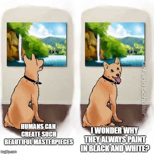 Art Dog |  HUMANS CAN CREATE SUCH BEAUTIFUL MASTERPIECES; I WONDER WHY THEY ALWAYS PAINT IN BLACK AND WHITE? | image tagged in art dog | made w/ Imgflip meme maker