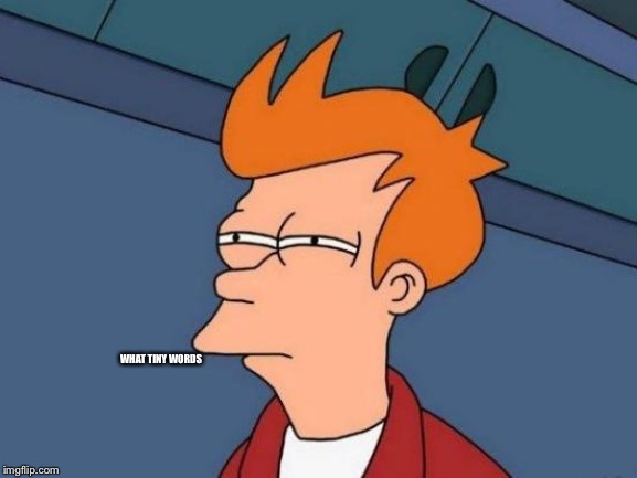 Fry Mirrored | WHAT TINY WORDS | image tagged in fry mirrored | made w/ Imgflip meme maker