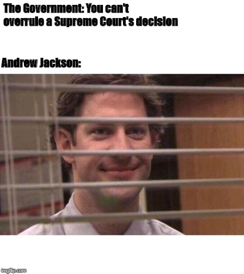 Jim Office Blinds | The Government: You can't overrule a Supreme Court's decision; Andrew Jackson: | image tagged in jim office blinds | made w/ Imgflip meme maker