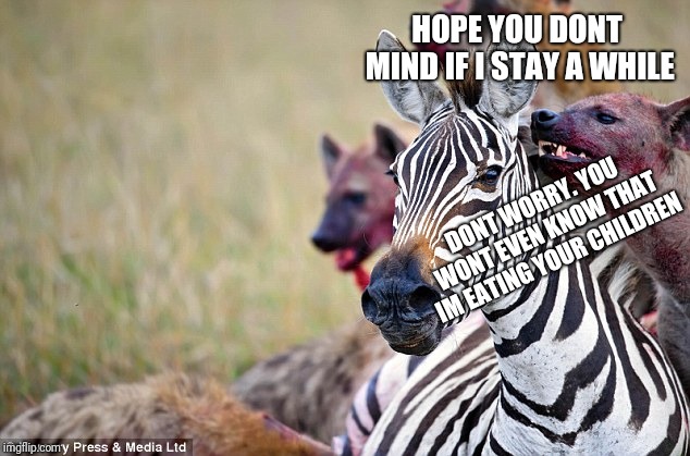 hyena whisper | HOPE YOU DONT MIND IF I STAY A WHILE DONT WORRY. YOU WONT EVEN KNOW THAT IM EATING YOUR CHILDREN | image tagged in hyena whisper | made w/ Imgflip meme maker