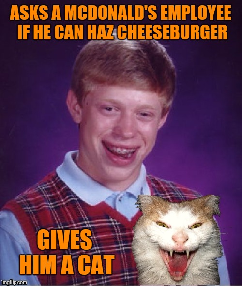 Brian Can Haz? | ASKS A MCDONALD'S EMPLOYEE IF HE CAN HAZ CHEESEBURGER; GIVES HIM A CAT | image tagged in memes,bad luck brian,funny,mcdonalds,i can has cheezburger cat,cats | made w/ Imgflip meme maker