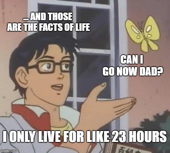 Facts of life butterfly | ... AND THOSE ARE THE FACTS OF LIFE; CAN I GO NOW DAD? I ONLY LIVE FOR LIKE 23 HOURS | image tagged in memes,is this a pigeon,birds and bees,butterfly | made w/ Imgflip meme maker