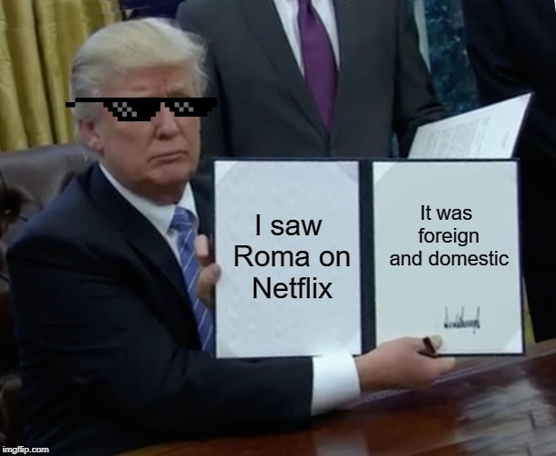 Trump Bill Signing | I saw Roma on Netflix; It was foreign and domestic | image tagged in memes,trump bill signing | made w/ Imgflip meme maker