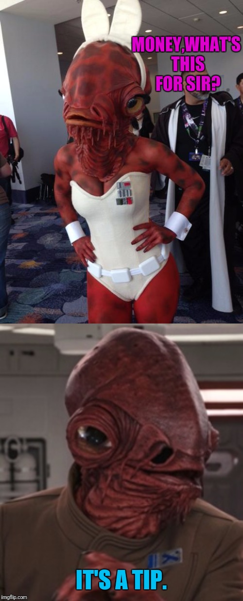 20% | MONEY,WHAT'S THIS FOR SIR? IT'S A TIP. | image tagged in star wars,admiral ackbar,ackbar | made w/ Imgflip meme maker