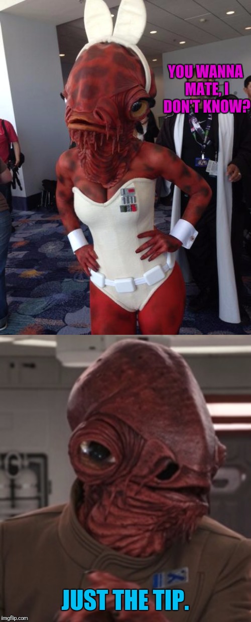 Admiral Archer | YOU WANNA MATE, I DON'T KNOW? JUST THE TIP. | image tagged in star wars,admiral ackbar,ackbar | made w/ Imgflip meme maker