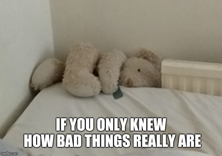 IF YOU ONLY KNEW HOW BAD THINGS REALLY ARE | image tagged in ted | made w/ Imgflip meme maker