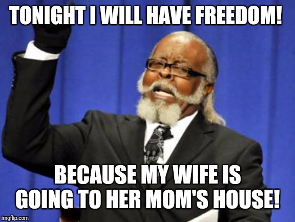 Too Damn High | TONIGHT I WILL HAVE FREEDOM! BECAUSE MY WIFE IS GOING TO HER MOM'S HOUSE! | image tagged in memes,too damn high | made w/ Imgflip meme maker