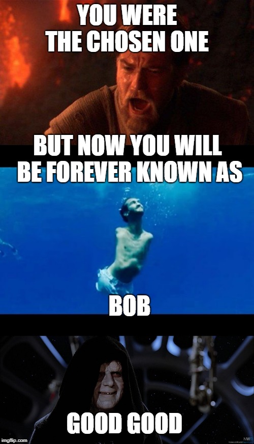 YOU WERE THE CHOSEN ONE; BUT NOW YOU WILL BE FOREVER KNOWN AS; BOB; GOOD GOOD | image tagged in memes,you were the chosen one star wars,star wars emperor good good | made w/ Imgflip meme maker