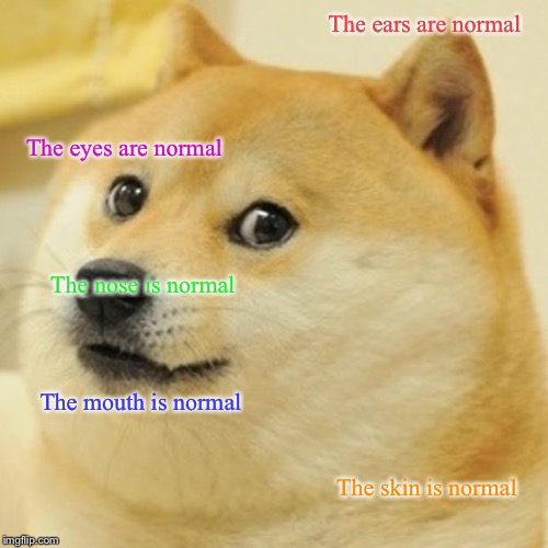 Normal body parts
 | The ears are normal; The eyes are normal; The nose is normal; The mouth is normal; The skin is normal | image tagged in memes | made w/ Imgflip meme maker