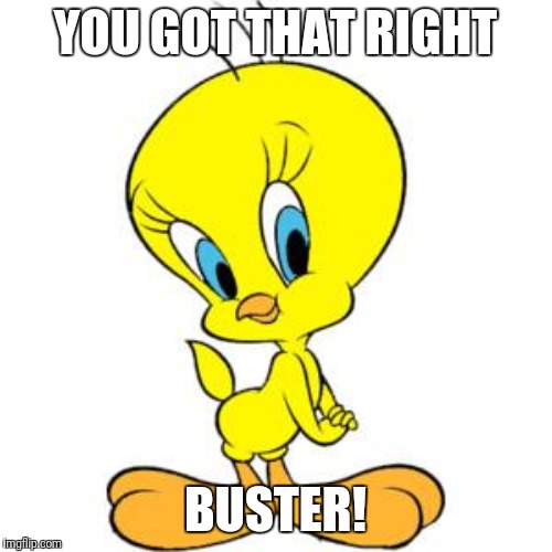 Tweety | YOU GOT THAT RIGHT BUSTER! | image tagged in tweety | made w/ Imgflip meme maker