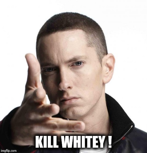 Eminem video game logic | KILL WHITEY ! | image tagged in eminem video game logic | made w/ Imgflip meme maker