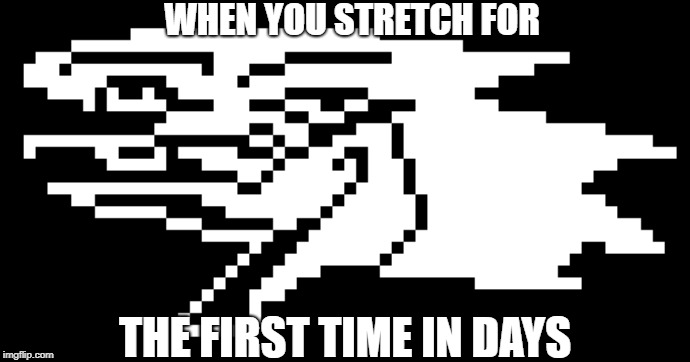 WHEN YOU STRETCH FOR; THE FIRST TIME IN DAYS | image tagged in berd | made w/ Imgflip meme maker