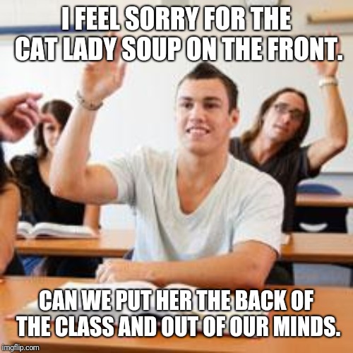Retarded student in classroom | I FEEL SORRY FOR THE CAT LADY SOUP ON THE FRONT. CAN WE PUT HER THE BACK OF THE CLASS AND OUT OF OUR MINDS. | image tagged in retarded student in classroom | made w/ Imgflip meme maker