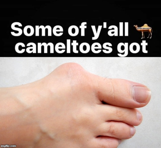COVELL BELLAMY III | image tagged in cameltoe bunion | made w/ Imgflip meme maker