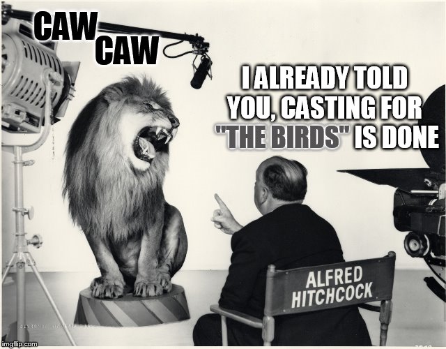 Rare behind the scenes moments of Leo casting for MGM  | CAW; CAW; I ALREADY TOLD YOU, CASTING FOR  ''THE BIRDS'' IS DONE; ''THE BIRDS'' | image tagged in memes,alfred hitchcock,mgm lion,the birds,mgm,movies | made w/ Imgflip meme maker