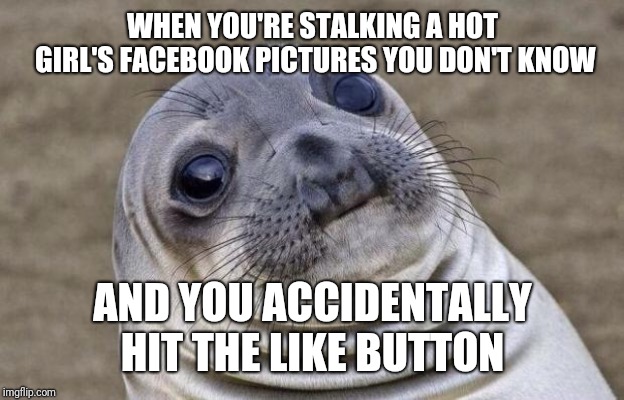 Awkward Moment Sealion Meme | WHEN YOU'RE STALKING A HOT GIRL'S FACEBOOK PICTURES YOU DON'T KNOW; AND YOU ACCIDENTALLY HIT THE LIKE BUTTON | image tagged in memes,awkward moment sealion | made w/ Imgflip meme maker