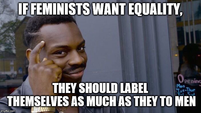 Roll Safe Think About It Meme | IF FEMINISTS WANT EQUALITY, THEY SHOULD LABEL THEMSELVES AS MUCH AS THEY TO MEN | image tagged in memes,roll safe think about it | made w/ Imgflip meme maker