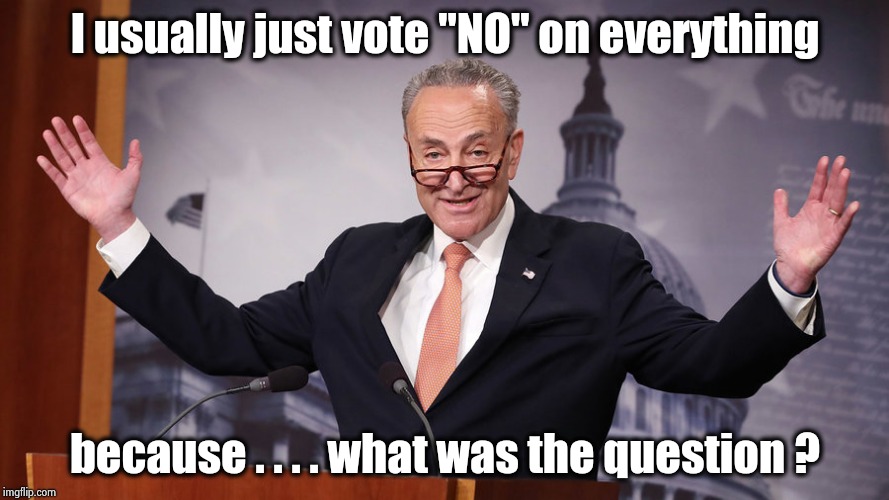Who needs to be removed from office ? | I usually just vote "NO" on everything; because . . . . what was the question ? | image tagged in chuck schumer,arrogant rich man,old,cold,dumb,politicians suck | made w/ Imgflip meme maker