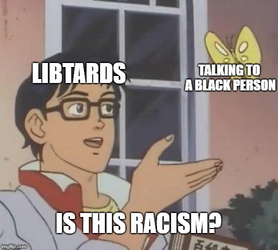Is This A Pigeon | LIBTARDS; TALKING TO A BLACK PERSON; IS THIS RACISM? | image tagged in memes,is this a pigeon | made w/ Imgflip meme maker