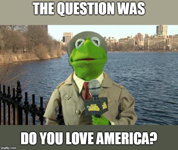 Kermit News Report | THE QUESTION WAS DO YOU LOVE AMERICA? | image tagged in kermit news report | made w/ Imgflip meme maker