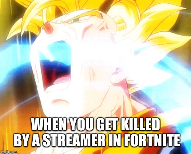 Goku Rage | WHEN YOU GET KILLED BY A STREAMER IN FORTNITE | image tagged in goku rage | made w/ Imgflip meme maker
