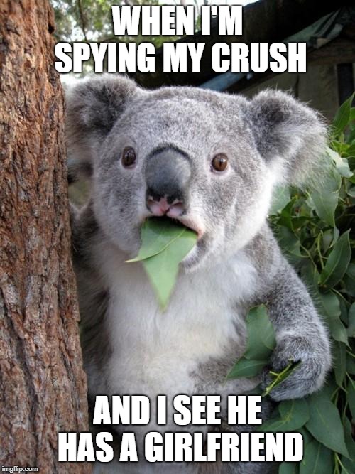 Surprised Koala Meme | WHEN I'M SPYING MY CRUSH; AND I SEE HE HAS A GIRLFRIEND | image tagged in memes,surprised koala | made w/ Imgflip meme maker