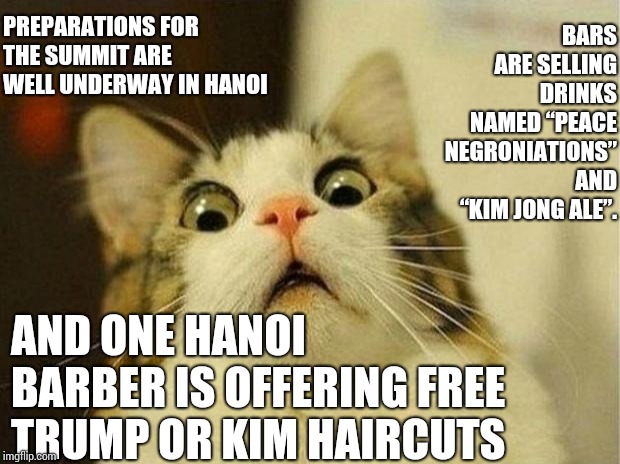 Shrooms.  It's Gotta Be Shrooms.  There's No Other Logical Explanation | PREPARATIONS FOR THE SUMMIT ARE WELL UNDERWAY IN HANOI; BARS ARE SELLING DRINKS NAMED “PEACE NEGRONIATIONS” AND “KIM JONG ALE”. AND ONE HANOI BARBER IS OFFERING FREE TRUMP OR KIM HAIRCUTS | image tagged in memes,scared cat,wtf,wth,human stupidity,omg | made w/ Imgflip meme maker