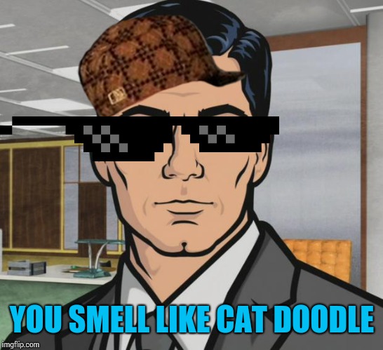 Archer | YOU SMELL LIKE CAT DOODLE | image tagged in memes,archer | made w/ Imgflip meme maker