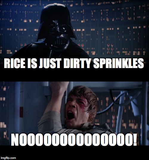 Star Wars No | RICE IS JUST DIRTY SPRINKLES; NOOOOOOOOOOOOOO! | image tagged in memes,star wars no | made w/ Imgflip meme maker