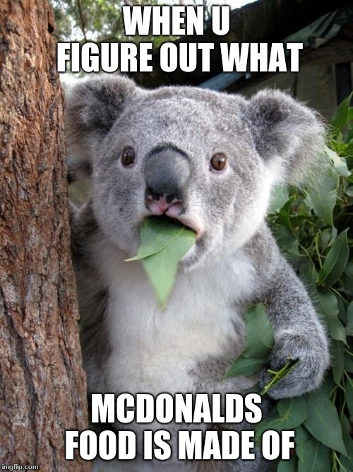 Surprised Koala Meme | WHEN U FIGURE OUT WHAT; MCDONALDS FOOD IS MADE OF | image tagged in memes,surprised koala | made w/ Imgflip meme maker