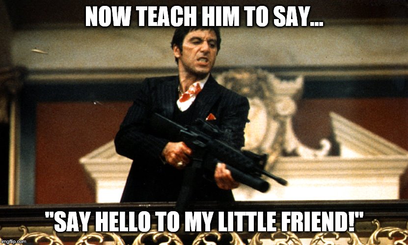 Scar face | NOW TEACH HIM TO SAY... "SAY HELLO TO MY LITTLE FRIEND!" | image tagged in scar face | made w/ Imgflip meme maker