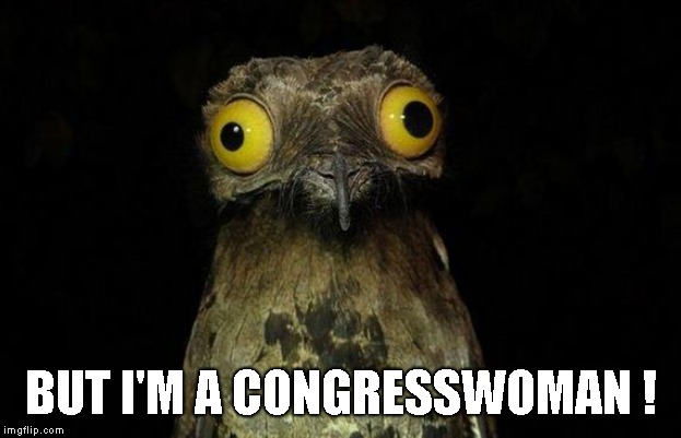 Weird Stuff I Do Potoo Meme | BUT I'M A CONGRESSWOMAN ! | image tagged in memes,weird stuff i do potoo | made w/ Imgflip meme maker