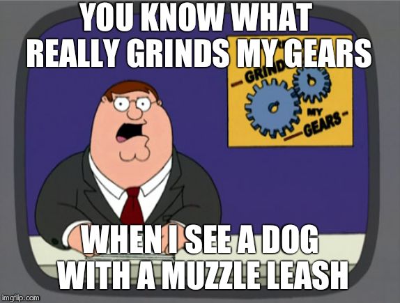 Peter Griffin News Meme | YOU KNOW WHAT REALLY GRINDS MY GEARS; WHEN I SEE A DOG WITH A MUZZLE LEASH | image tagged in memes,peter griffin news | made w/ Imgflip meme maker