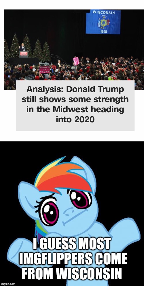 That would explain the politics stream... | I GUESS MOST IMGFLIPPERS COME FROM WISCONSIN | image tagged in memes,pony shrugs,donald trump,election 2020,2020 | made w/ Imgflip meme maker