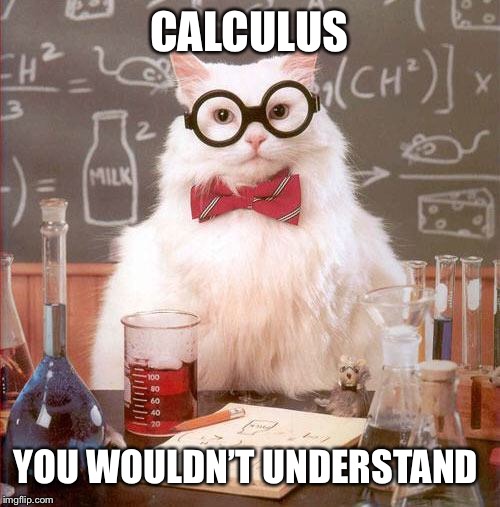 Science Cat | CALCULUS YOU WOULDN’T UNDERSTAND | image tagged in science cat | made w/ Imgflip meme maker