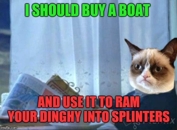 Kitty pirate on the high seas | I SHOULD BUY A BOAT; AND USE IT TO RAM YOUR DINGHY INTO SPLINTERS | image tagged in memes,cats,grumpy cat,i should buy a boat cat,so much drama,hate crime | made w/ Imgflip meme maker