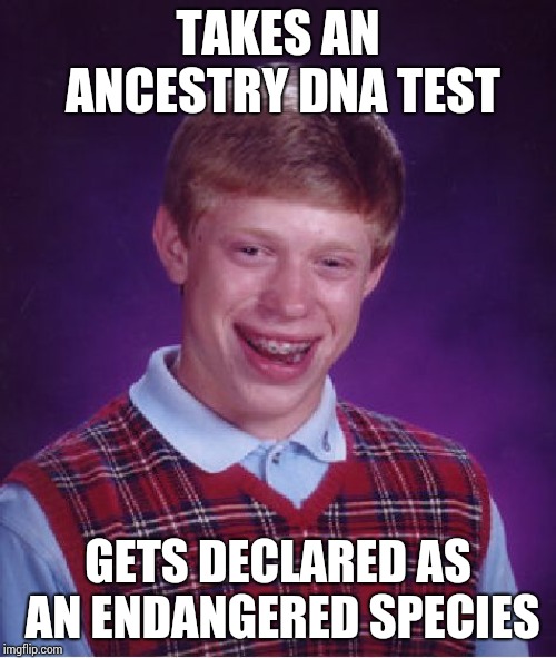 #Save-Brian | TAKES AN ANCESTRY DNA TEST; GETS DECLARED AS AN ENDANGERED SPECIES | image tagged in memes,bad luck brian | made w/ Imgflip meme maker