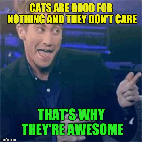 CATS ARE GOOD FOR NOTHING AND THEY DON'T CARE THAT'S WHY THEY'RE AWESOME | made w/ Imgflip meme maker
