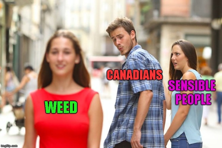 Distracted Boyfriend | CANADIANS; SENSIBLE PEOPLE; WEED | image tagged in memes,distracted boyfriend | made w/ Imgflip meme maker