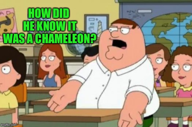 HOW DID HE KNOW IT WAS A CHAMELEON? | made w/ Imgflip meme maker