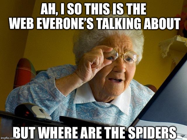 Grandma Finds The Internet Meme | AH, I SO THIS IS THE WEB EVERONE’S TALKING ABOUT; BUT WHERE ARE THE SPIDERS | image tagged in memes,grandma finds the internet | made w/ Imgflip meme maker