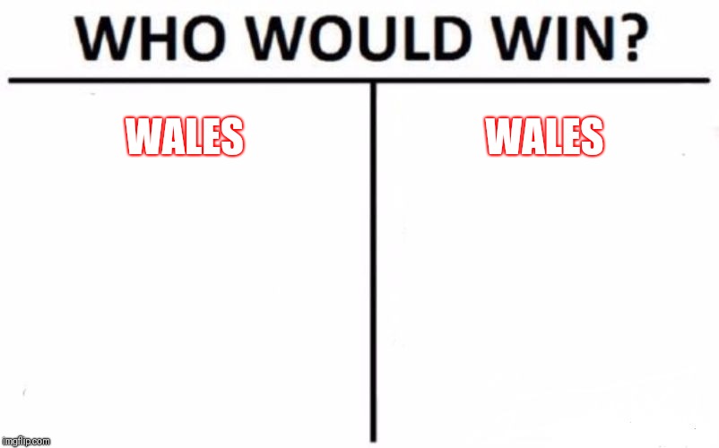 Who Would Win? Meme | WALES; WALES | image tagged in memes,who would win | made w/ Imgflip meme maker