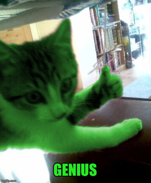 thumbs up RayCat | GENIUS | image tagged in thumbs up raycat | made w/ Imgflip meme maker