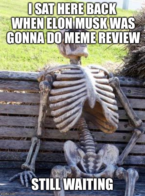 Waiting Skeleton Meme | I SAT HERE BACK WHEN ELON MUSK WAS GONNA DO MEME REVIEW; STILL WAITING | image tagged in memes,waiting skeleton | made w/ Imgflip meme maker