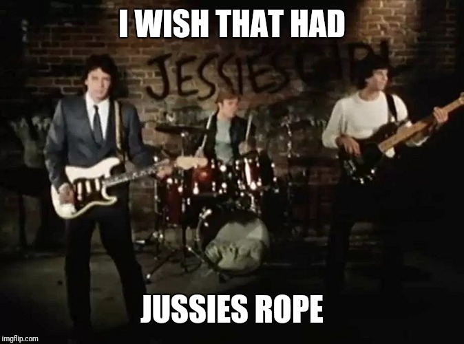 Rick Springfield | I WISH THAT HAD; JUSSIES ROPE | image tagged in rick springfield | made w/ Imgflip meme maker