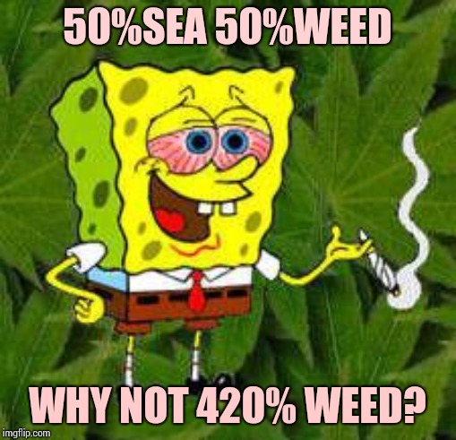 Weed | 50%SEA 50%WEED WHY NOT 420% WEED? | image tagged in weed | made w/ Imgflip meme maker