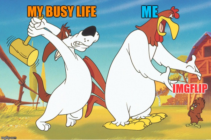 Slammed | MY BUSY LIFE; ME; IMGFLIP | image tagged in slammed,busy,life,imgflip,44colt,looney tunes | made w/ Imgflip meme maker
